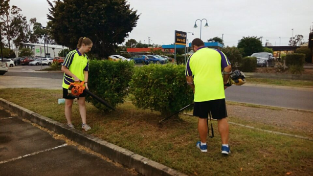 employment and education hedge trim