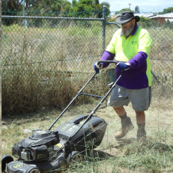 social enterprise canefields clubhouse mental health employment lawn mower man