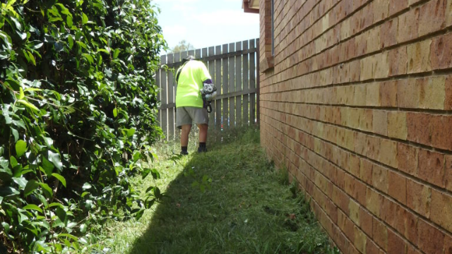 employment and education whipper snipper 640x360px